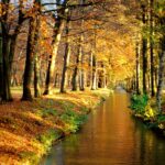 Ποταμάκι σε δάσος στο Augsburg της Βαυαρίας