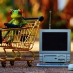 Online Shopping και ηλεκτρονικό εμπόριο στη Γερμανία