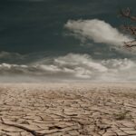 Προβλήματα στην γεωργική παραγωγή της Γερμανίας από την έντονη ξηρασία