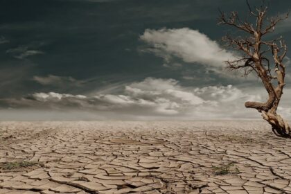 Προβλήματα στην γεωργική παραγωγή της Γερμανίας από την έντονη ξηρασία