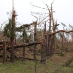 Σφοδρή κακοκαιρία στη Γερμανία: Νεκρή γυναίκα από πτώση δέντρου – 3 σε κρίσιμη κατάσταση