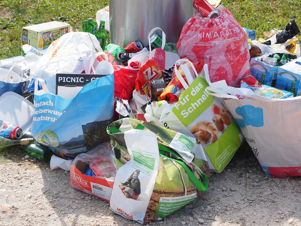 Discarded vegetables and bread in a container highlighting food waste in Germany