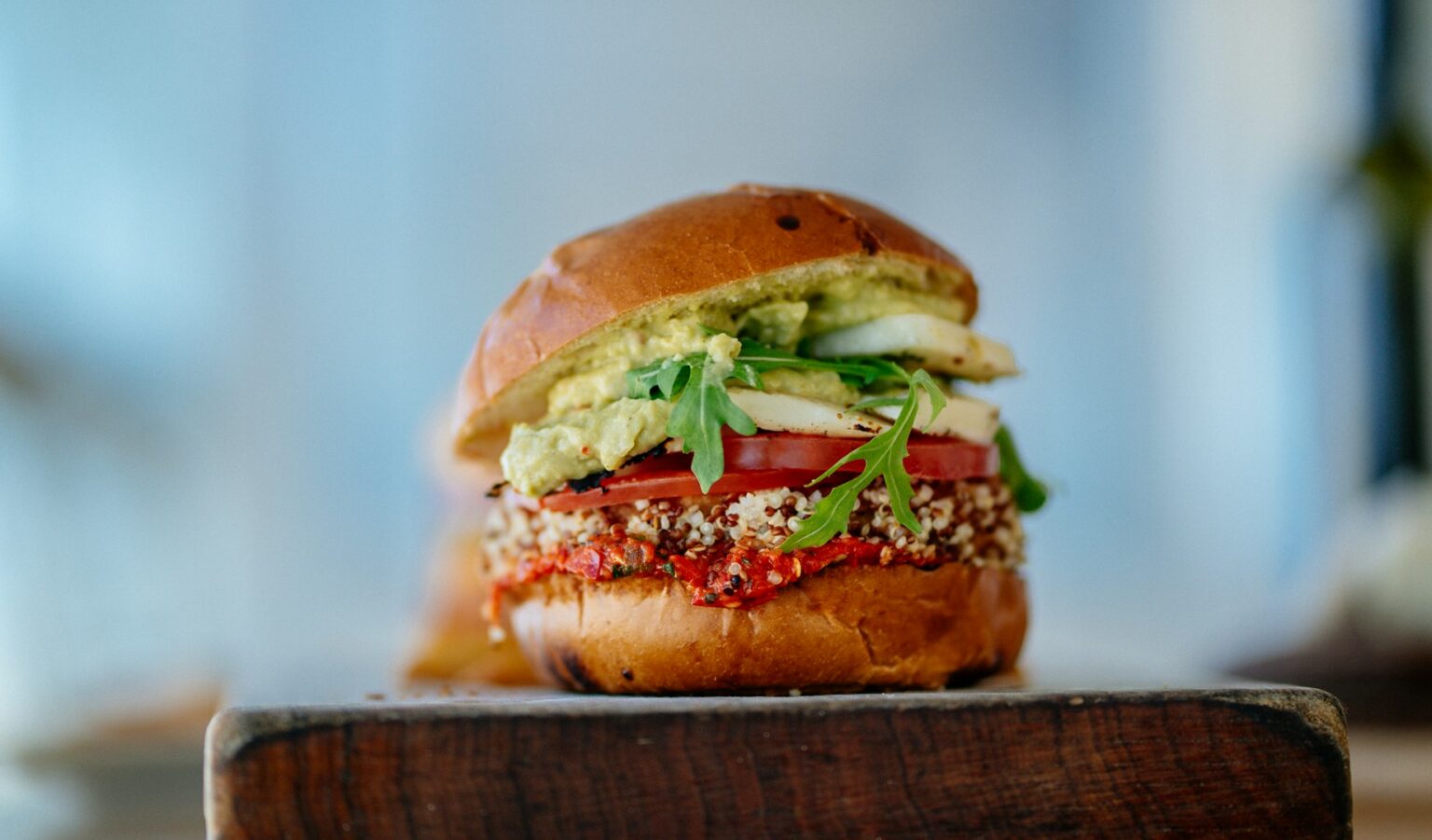 Plant-based burger with EU flag symbolizing new EU rules on meat alternative naming