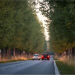 Tree-lined rural road in Germany with cars driving past