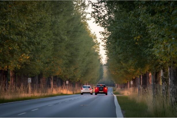 Tree-lined rural road in Germany with cars driving past