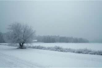 Snowy landscape in Bavaria during a cold winter morning