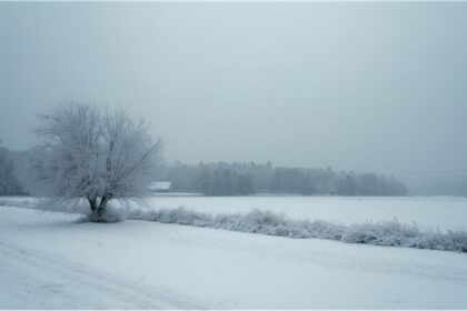Snowy landscape in Bavaria during a cold winter morning