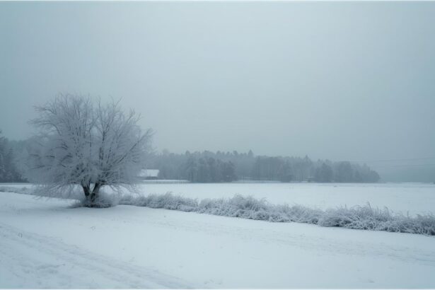 Snowy landscape in Bavaria during a cold winter morning