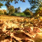 Autumn sunshine over Munich’s English Garden with people walking among golden trees