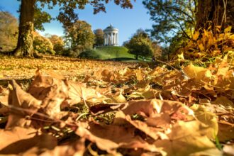 Autumn sunshine over Munich’s English Garden with people walking among golden trees