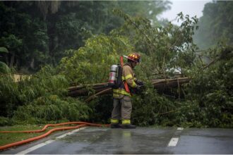 Firefighters removing fallen tree from street during storm Joshua in Germany