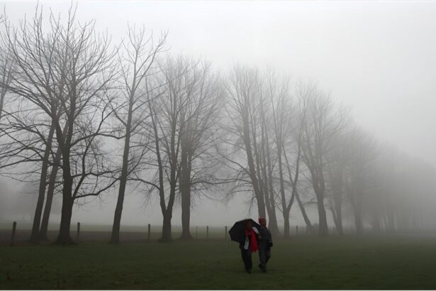 People walking through foggy streets in Germany as temperatures drop sharply