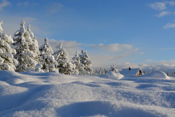 A frosty German landscape with snow-covered trees and bright winter sunlight.