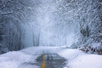 Frost-covered road in Germany during an early winter cold snap with DWD warnings.