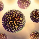 Ο ιός της ηπατίτιδας