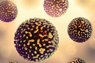 Ο ιός της ηπατίτιδας