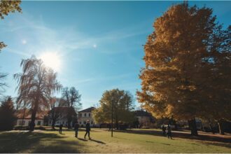 People enjoying sunshine in Munich park during rare November heatwave with temperatures above 20°C