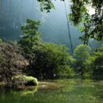 Λίμνη σε τροπικό δάσος και έντονη βλάστηση